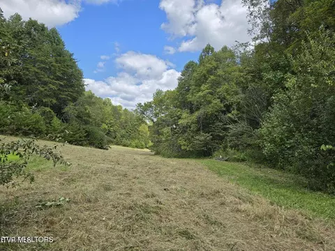 170 Parker Road Eidson Tn 37731, Eidson, TN 37731 photo 48