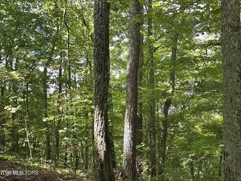 170 Parker Road Eidson Tn 37731, Eidson, TN 37731 photo 35