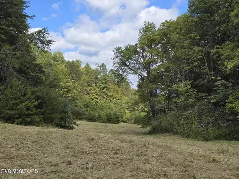 170 Parker Road Eidson Tn 37731, Eidson, TN 37731 photo 52