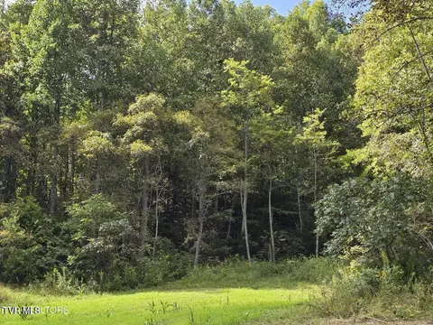 170 Parker Road Eidson Tn 37731, Eidson, TN 37731 photo 41