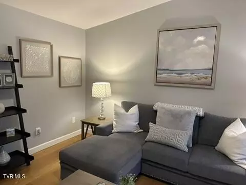 208 Haley Circle Circle 2 Gray Tn 37615, Gray, TN 37615 photo 8