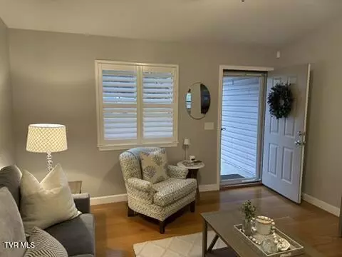208 Haley Circle Circle 2 Gray Tn 37615, Gray, TN 37615 photo 11