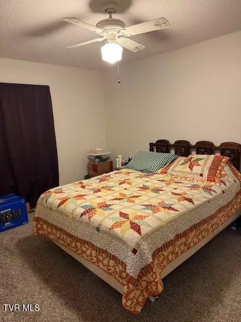 Bedroom - 165 Smith Avenue Erwin Tn 37650, Erwin, TN 37650 photo 3 of 3