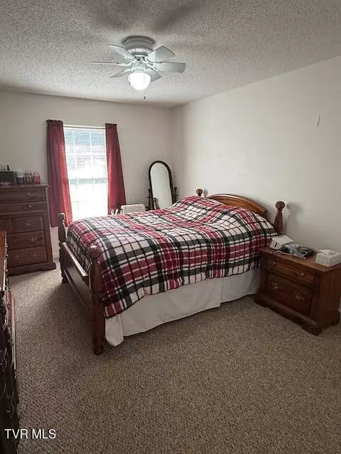 Bedroom - 165 Smith Avenue Erwin Tn 37650, Erwin, TN 37650 photo 1 of 3