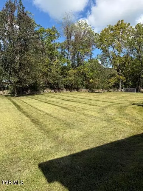 Exterior - 165 Smith Avenue Erwin Tn 37650, Erwin, TN 37650 photo 3 of 10