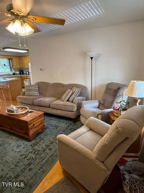 Living - 165 Smith Avenue Erwin Tn 37650, Erwin, TN 37650 photo 1 of 1
