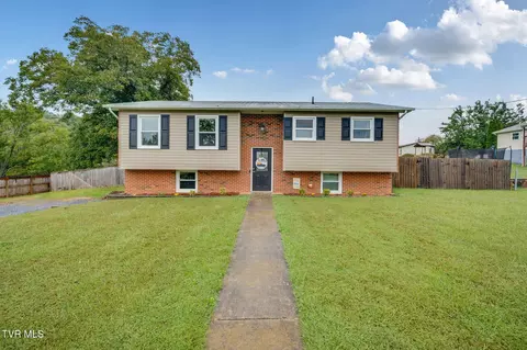 908 Hermitage Lane Mount Carmel Tn 37645, Mount Carmel, TN 37645