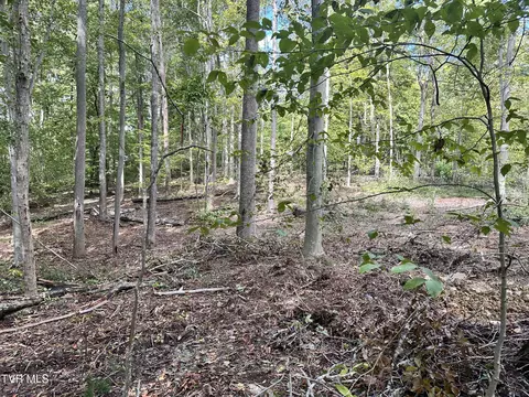 lot4 Highway 70s Rogersville Tn 37857, Rogersville, TN 37857