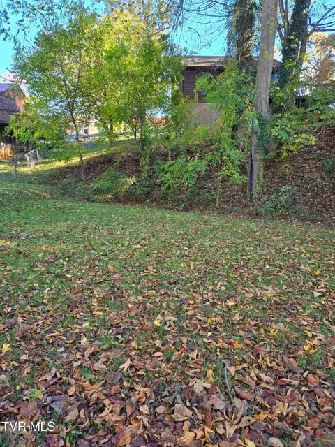 1981 Michael Drive Johnson City Tn 37604, Johnson City, TN 37604 photo 29