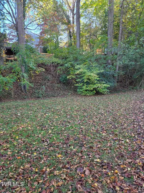 1981 Michael Drive Johnson City Tn 37604, Johnson City, TN 37604 photo 30