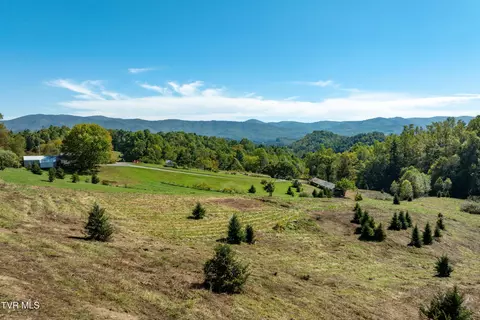 1311 Deer Run Road Mountain City Tn 37683, Mountain City, TN 37683