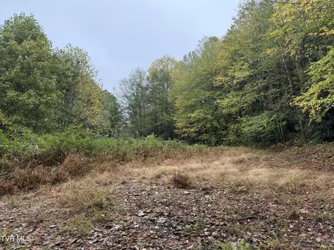 0 Clarktown Road Roan Mountain Tn 37687, Roan Mountain, TN 37687