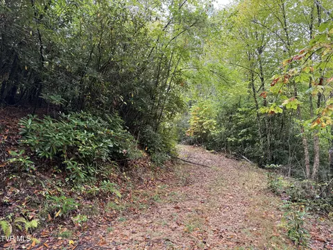 tbd Clarktown Road Roan Mountain Tn 37687, Roan Mountain, TN 37687