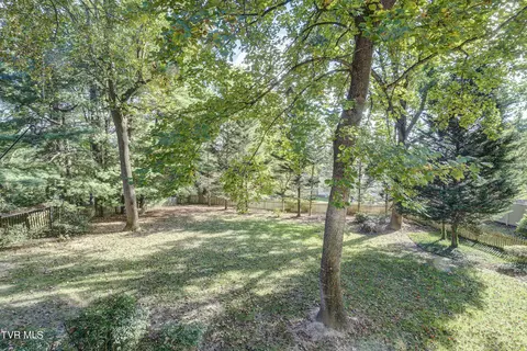 3326 Bondwood Circle Johnson City Tn 37604, Johnson City, TN 37604 photo 47