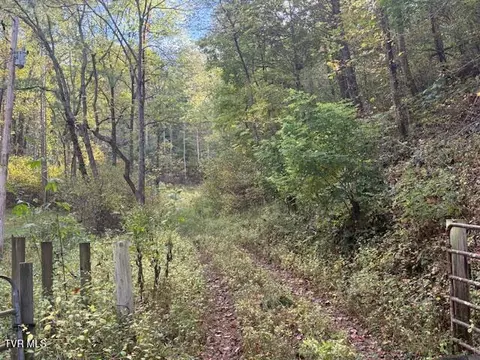 189 Tilson Road Flag Pond Tn 37657, Flag Pond, TN 37657