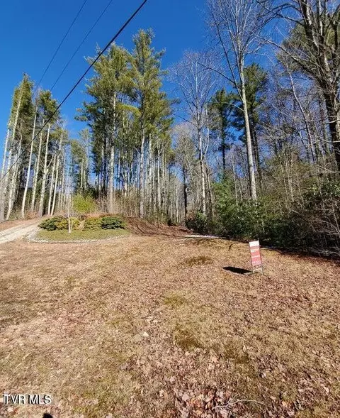 tbd Heartwood Lane Butler Tn 37640, Butler, TN 37640