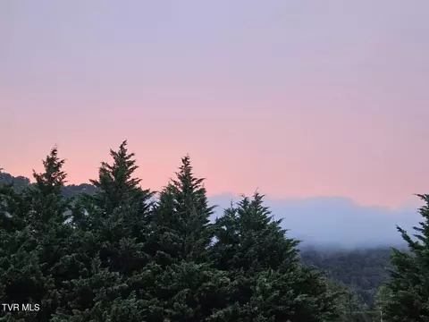 Other - 1323 Love Station Road Erwin Tn 37650, Erwin, TN 37650 photo 7 of 11