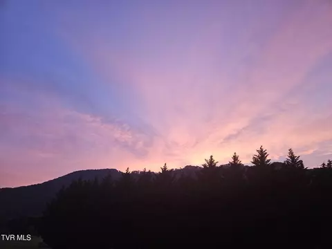 Other - 1323 Love Station Road Erwin Tn 37650, Erwin, TN 37650 photo 8 of 11