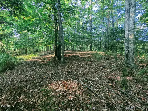 tbd Blowing Rock Haysi Va 24256, Haysi, VA 24256