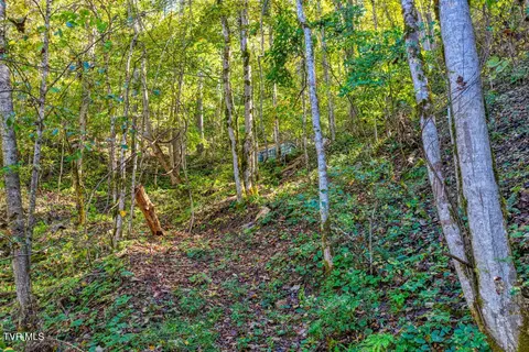 Other - 3652 Horton Ford Road Eidson Tn 37731, Eidson, TN 37731 photo 3 of 13
