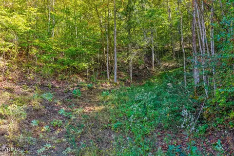 Other - 3652 Horton Ford Road Eidson Tn 37731, Eidson, TN 37731 photo 1 of 13