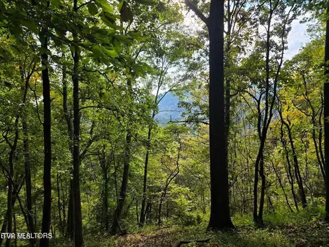 tbd E Pumpkin Valley Road Eidson Tn 37731, Eidson, TN 37731