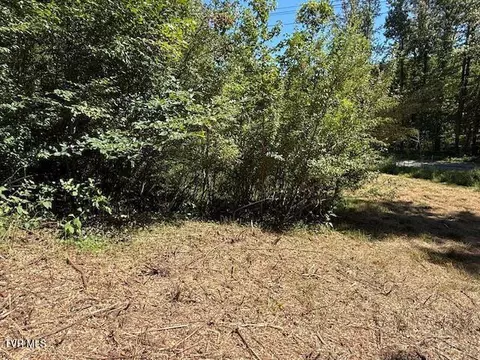 20181 N North Fork River Road Abingdon Va 24210, Abingdon, VA 24210 photo 35