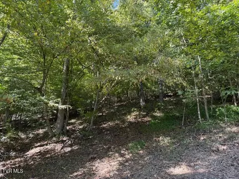 20181 N North Fork River Road Abingdon Va 24210, Abingdon, VA 24210 photo 33