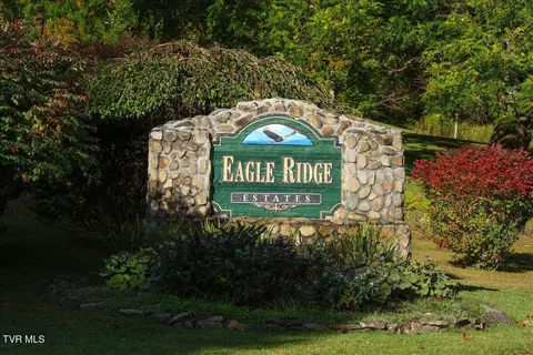 tbd Eagle Ridge Road Roan Mountain Tn 37687, Roan Mountain, TN 37687