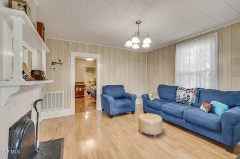203 E Locust Street Johnson City Tn 37601, Johnson City, TN 37601 photo 5