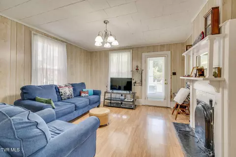 203 E Locust Street Johnson City Tn 37601, Johnson City, TN 37601 photo 6