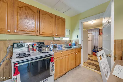 203 E Locust Street Johnson City Tn 37601, Johnson City, TN 37601 photo 9
