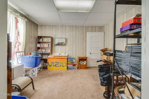203 E Locust Street Johnson City Tn 37601, Johnson City, TN 37601 photo 17