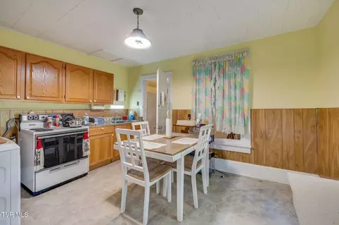 203 E Locust Street Johnson City Tn 37601, Johnson City, TN 37601 photo 8