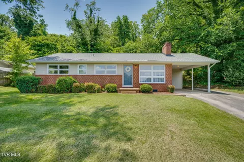 542 Ranier Drive Kingsport Tn 37663, Kingsport, TN 37663