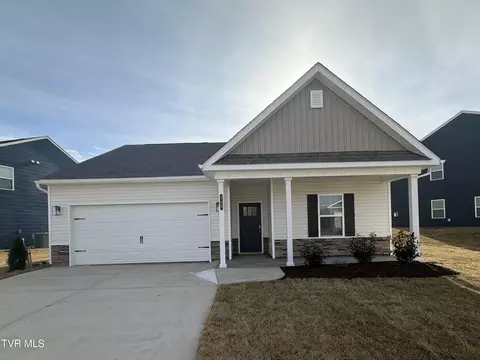 248 Artist Avenue Johnson City Tn 37615, Johnson City, TN 37615