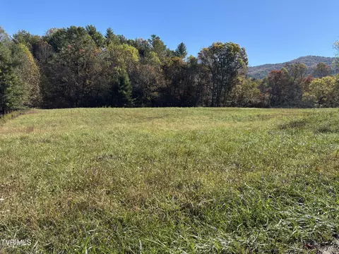 703 Locust Gap Road Mountain City Tn 37683, Mountain City, TN 37683
