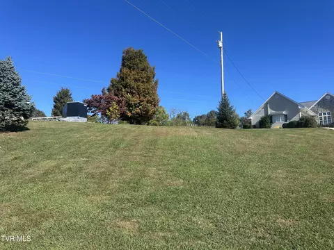113 Briarpatch Court Fall Branch Tn 37656, Fall Branch, TN 37656 photo 3