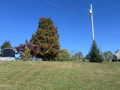 113 Briarpatch Court Fall Branch Tn 37656, Fall Branch, TN 37656 photo 9
