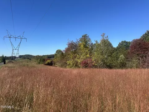 113 Briarpatch Court Fall Branch Tn 37656, Fall Branch, TN 37656 photo 6