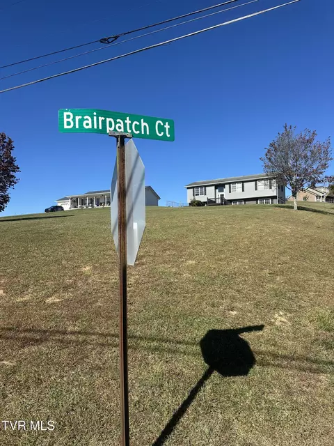 113 Briarpatch Court Fall Branch Tn 37656, Fall Branch, TN 37656 photo 10