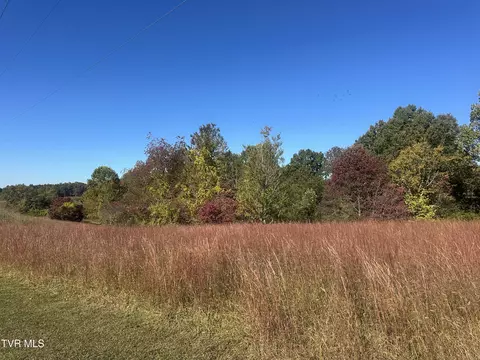 113 Briarpatch Court Fall Branch Tn 37656, Fall Branch, TN 37656 photo 2