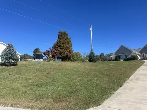 113 Briarpatch Court Fall Branch Tn 37656, Fall Branch, TN 37656 photo 4