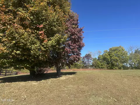 113 Briarpatch Court Fall Branch Tn 37656, Fall Branch, TN 37656 photo 5