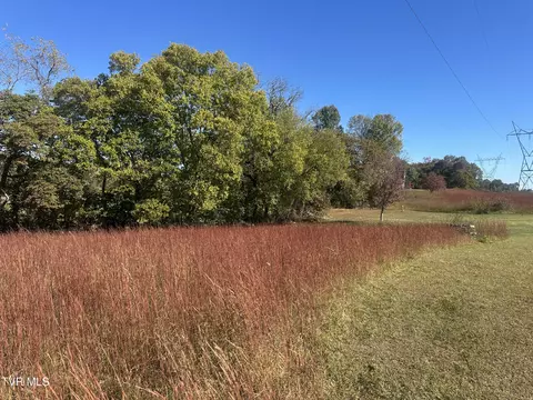 113 Briarpatch Court Fall Branch Tn 37656, Fall Branch, TN 37656 photo 7