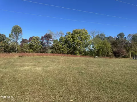 113 Briarpatch Court Fall Branch Tn 37656, Fall Branch, TN 37656