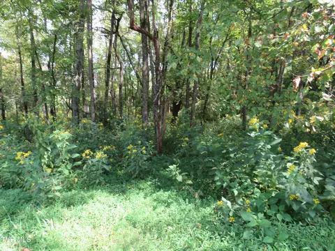 tbd Grandview Circle Rogersville Tn 37857, Rogersville, TN 37857