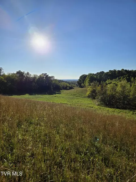 tbd Old Baileyton Road Afton Tn 37616, Afton, TN 37616