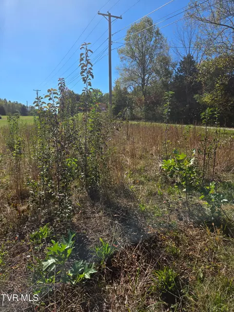 3593 Highway 390 Bluff City Tn 37618, Bluff City, TN 37618