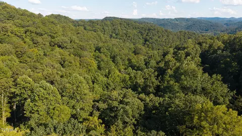 32 38 Ac Off Panther Creek Road Sneedville Tn 37869, Sneedville, TN 37869